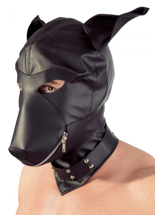 DOG+MASK