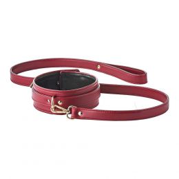 BLAZE - ELITE COLLAR AND LEASH RED